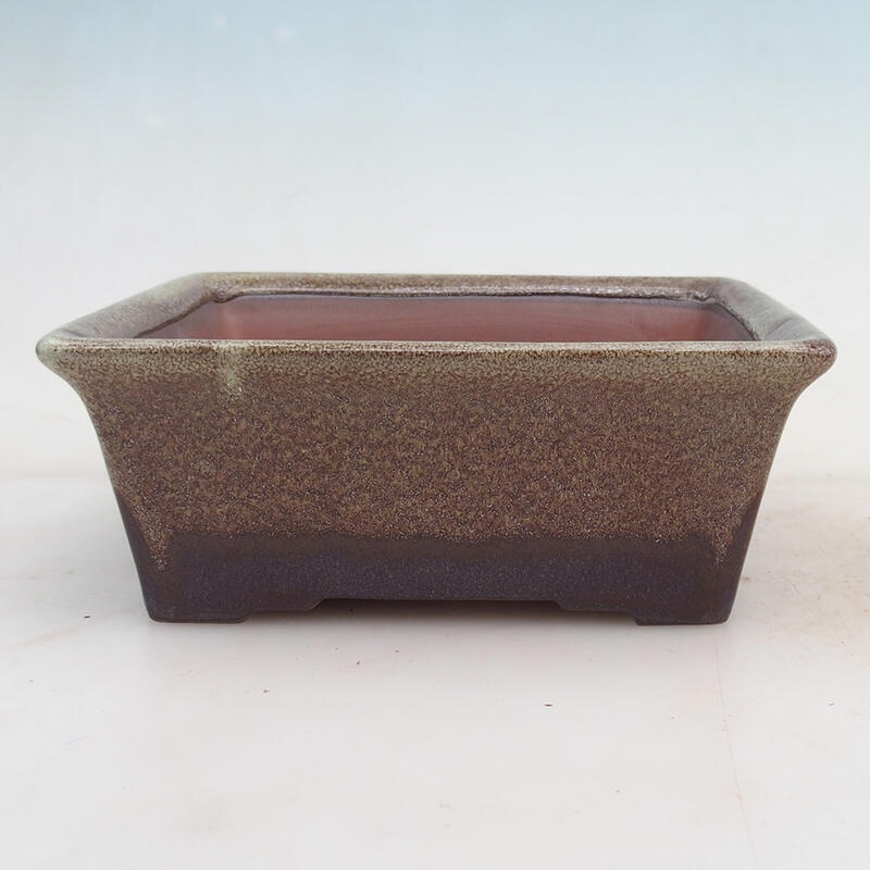 Bonsaischale 17 x 15 x 6,5 cm, Farbe Burgund