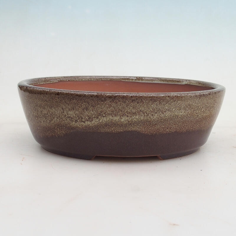 Bonsaischale 20,5 x 17 x 6 cm, Farbe Burgund