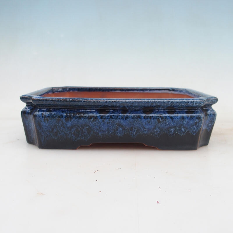 Bonsaischale 21 x 16 x 5 cm, Farbe blau