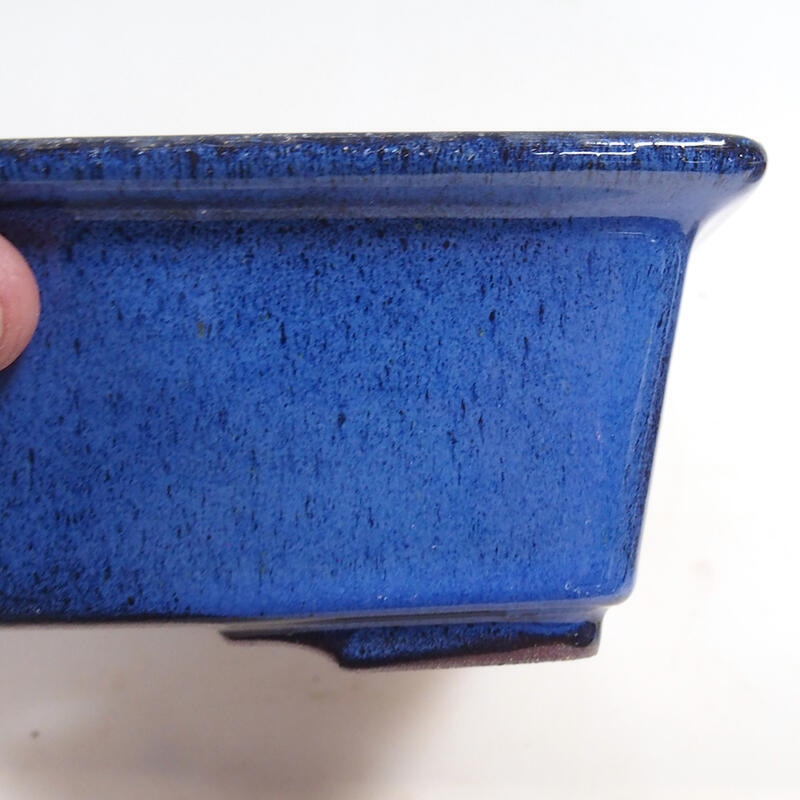 Bonsaischale 21 x 17 x 6,5 cm, Farbe blau