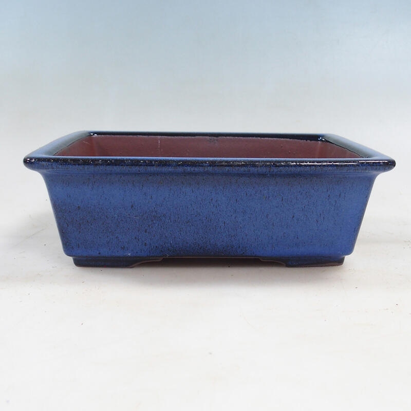 Bonsaischale 21 x 17 x 6,5 cm, Farbe blau