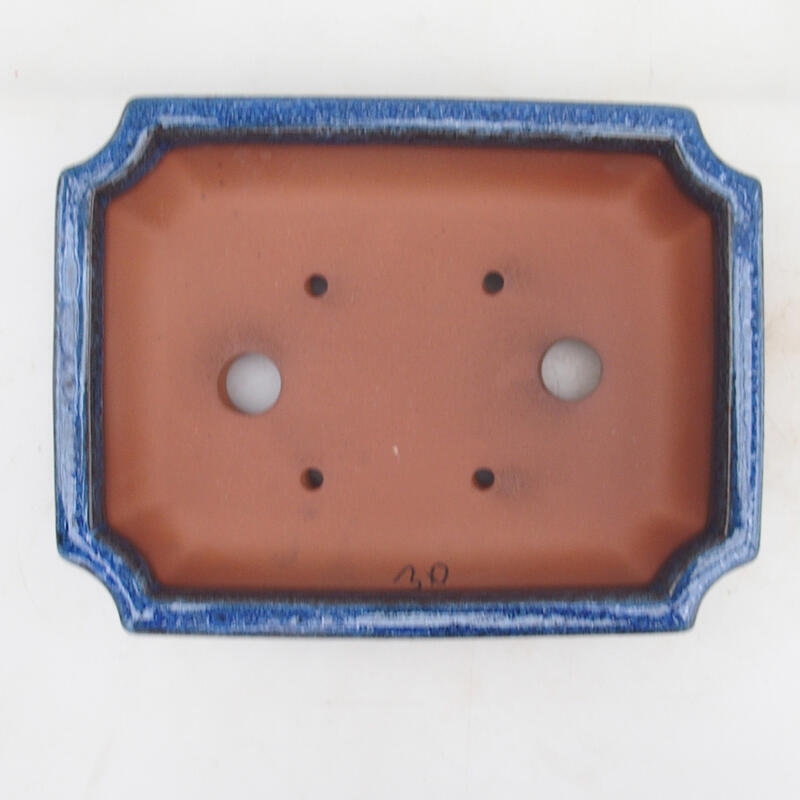 Bonsaischale 22 x 16,5 x 4 cm, Farbe blau