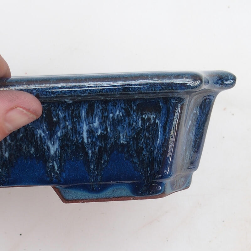 Bonsaischale 22 x 17 x 5,5 cm, Farbe blau