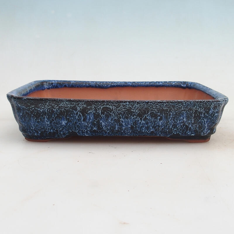 Bonsaischale 24 x 17 x 5 cm, Farbe blau