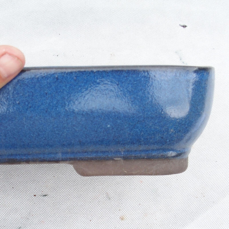 Bonsaischale 30 x 21 x 7 cm, Farbe blau