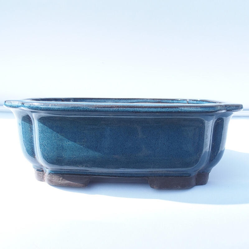 Bonsaischale 30 x 25 x 10 cm Farbe blau