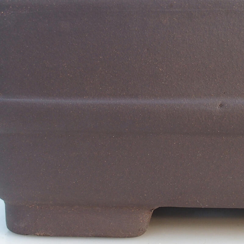 Bonsaischale 41,5 x 28 x 14 cm, Farbe Schwarz - Nur Palettentransport