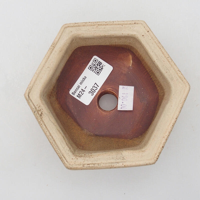 Keramik-Bonsaischale 10,5 x 10 x 4 cm, Farbe Beige