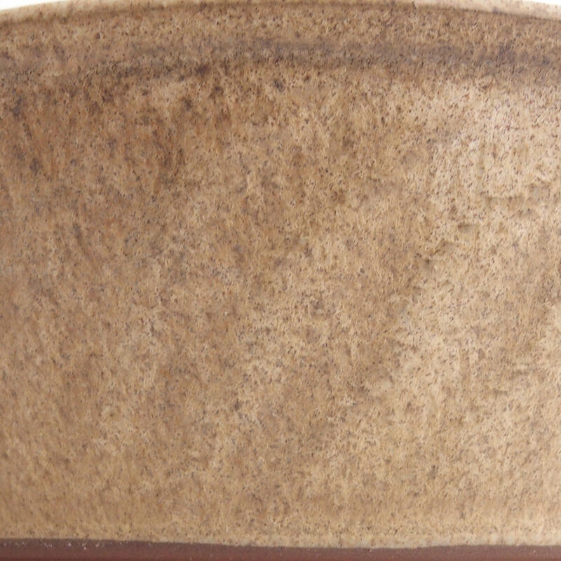 Keramik-Bonsaischale 17 x 17 x 5,5 cm, Farbe Beige