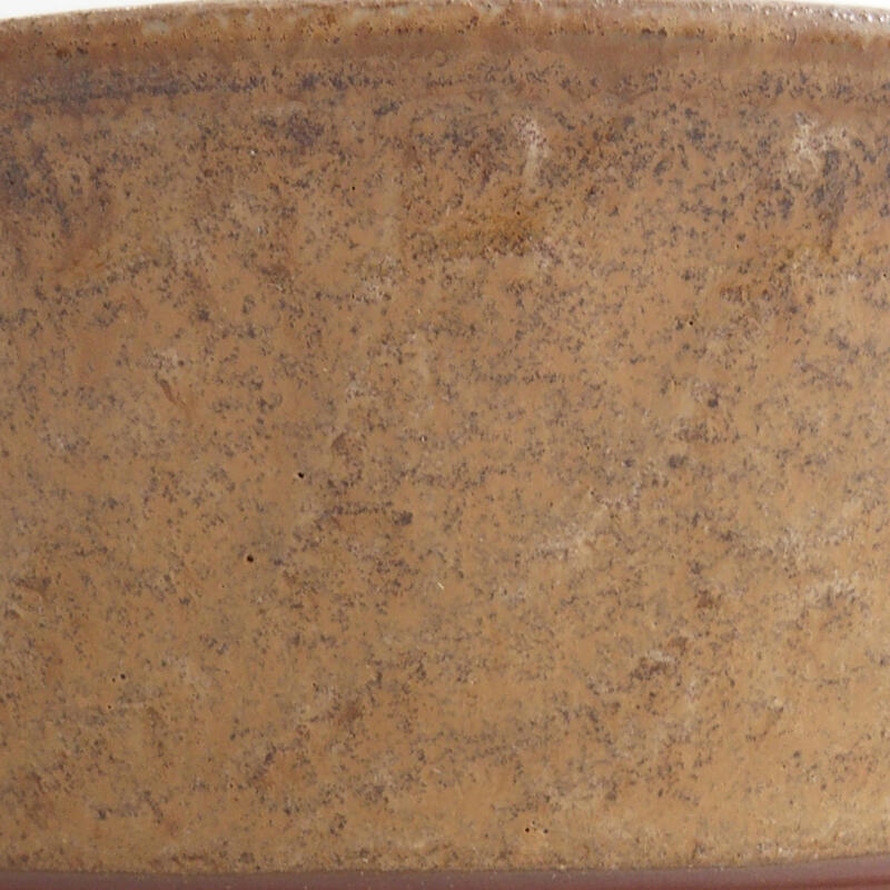 Keramik-Bonsaischale 17 x 17 x 5,5 cm, Farbe Beige