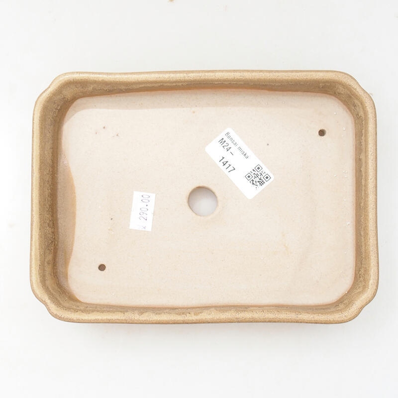 Keramik-Bonsaischale 18 x 13,5 x 3,5 cm, Farbe Beige