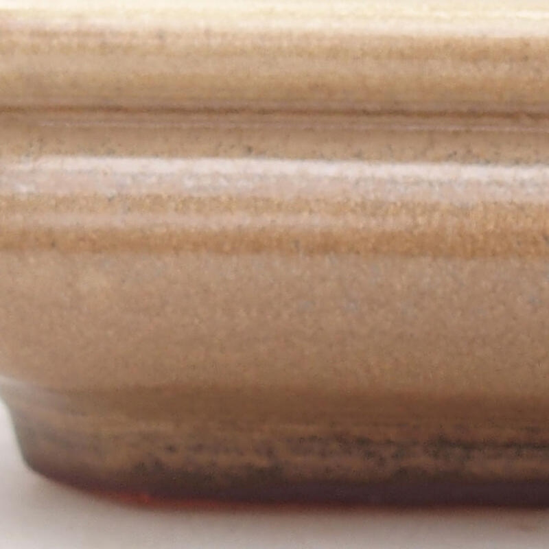 Keramik-Bonsaischale 19 x 14 x 4 cm, Farbe Beige