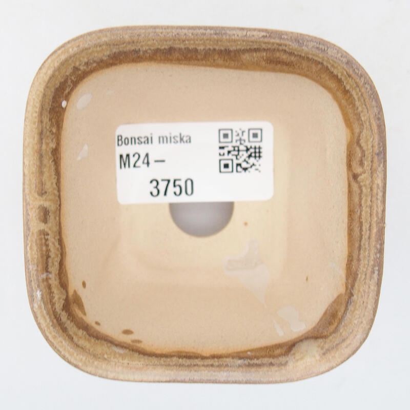 Bonsaischale aus Keramik 6,5 x 6,5 x 4,5 cm, Farbe Beige