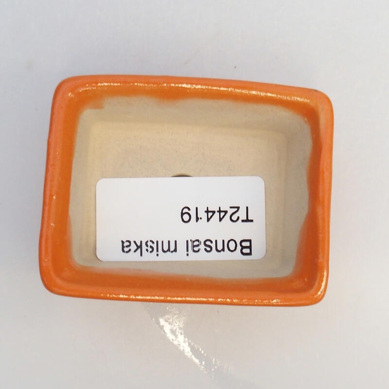 Keramik-Bonsaischale 6 x 4,5 x 2,5 cm, Farbe Orange