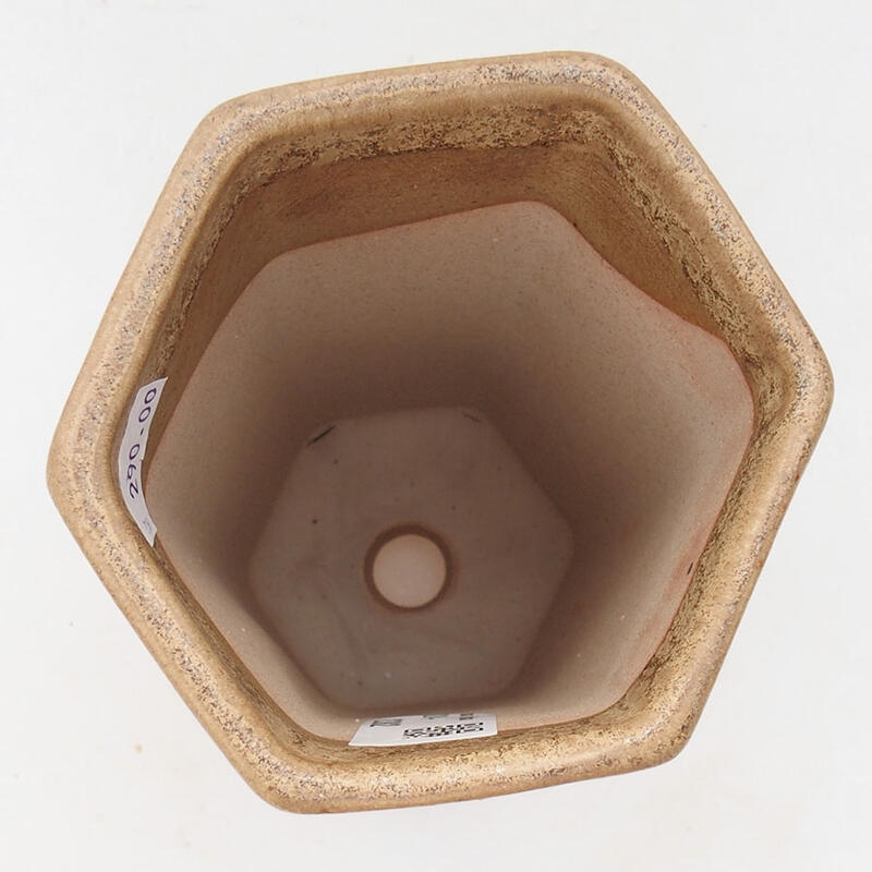 Keramik-Bonsaischale 9 x 8,5 x 14,5 cm, Farbe Beige