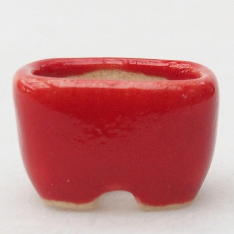 Mini-Bonsaischale 1,5 x 1 x 1 cm, Farbe rot