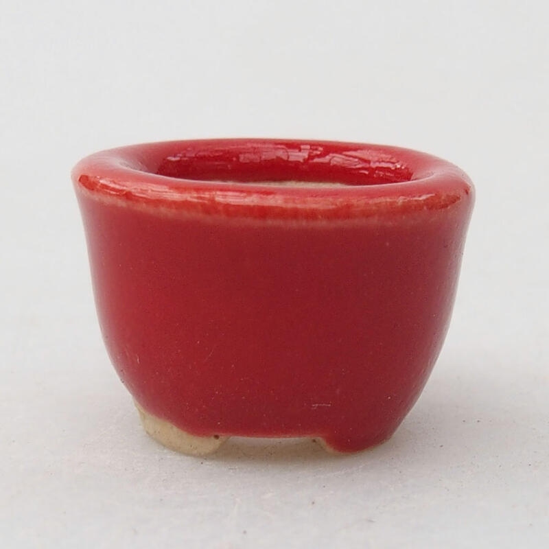 Mini-Bonsaischale 2 x 2 x 1,5 cm, Farbe rot