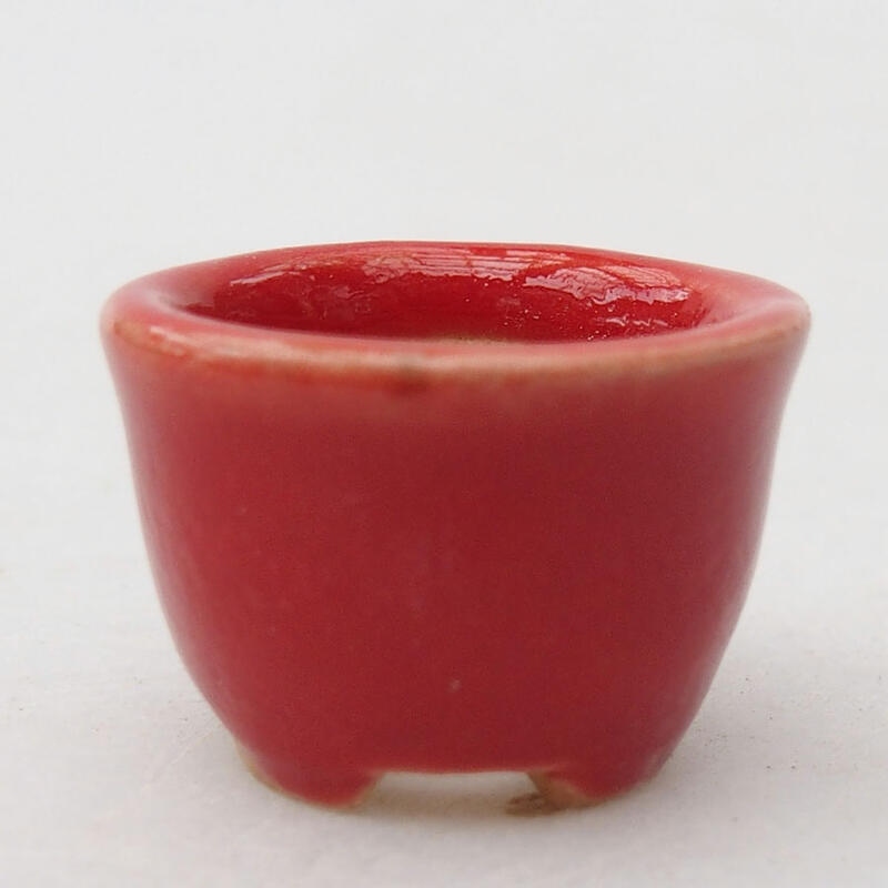 Mini-Bonsaischale 2 x 2 x 1,5 cm, Farbe rot