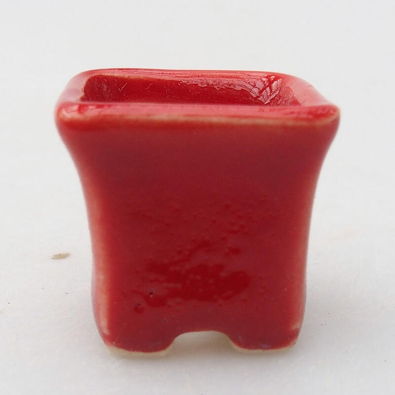 Mini-Bonsaischale 2 x 2 x 2 cm, Farbe rot