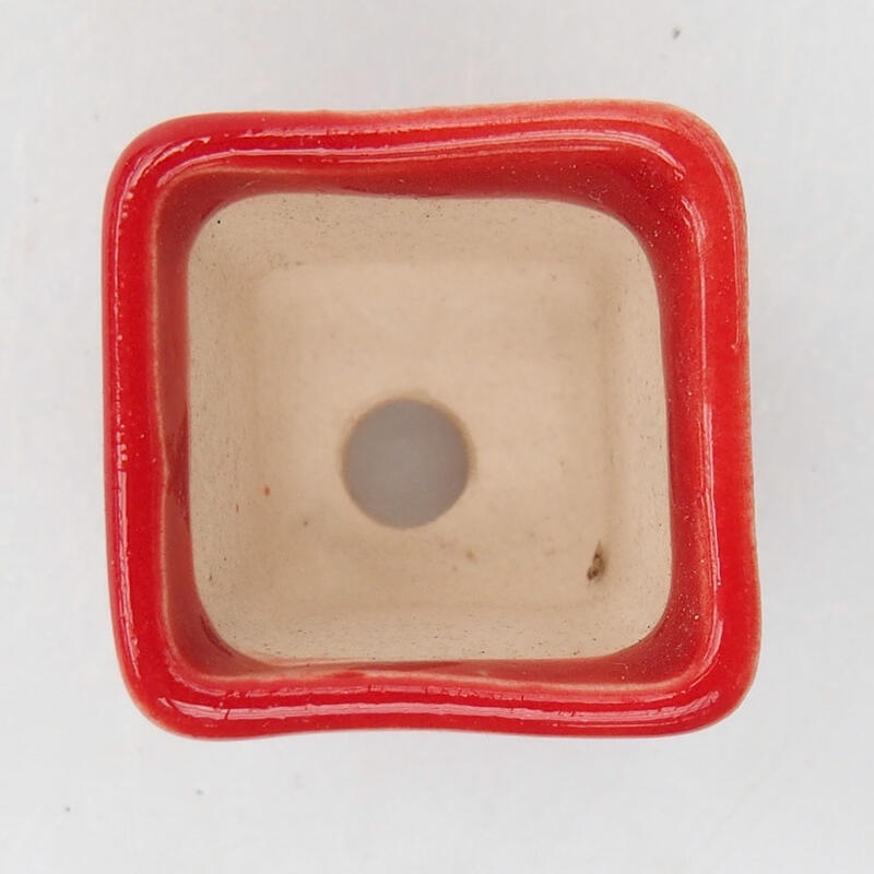 Mini-Bonsaischale 2 x 2 x 2 cm, Farbe rot