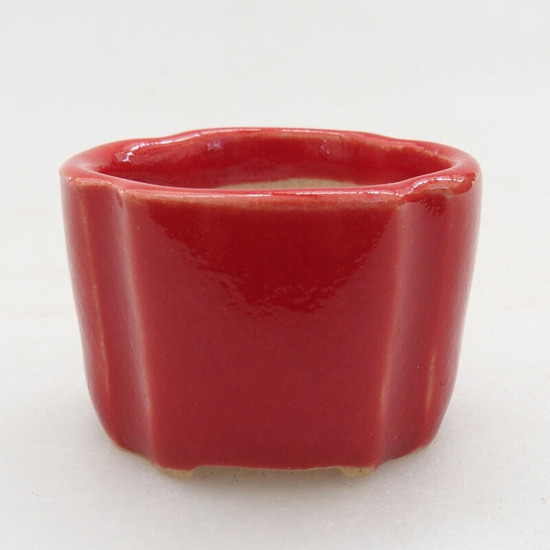 Mini-Bonsaischale 3,5 x 3,5 x 2,5 cm, Farbe Rot