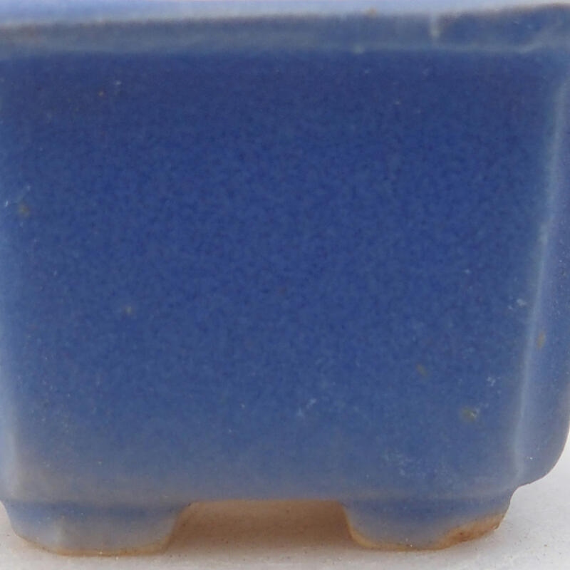 Mini-Bonsaischale 3,5 x 3,5 x 2,5 cm, Farbe blau