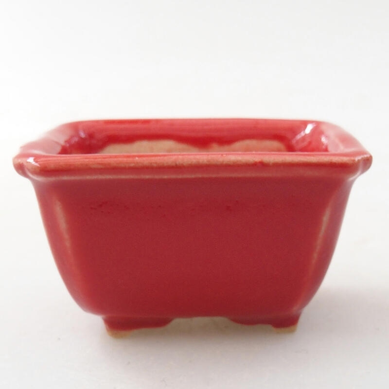 Mini-Bonsaischale 4 x 3,5 x 2,5 cm, Farbe Rot