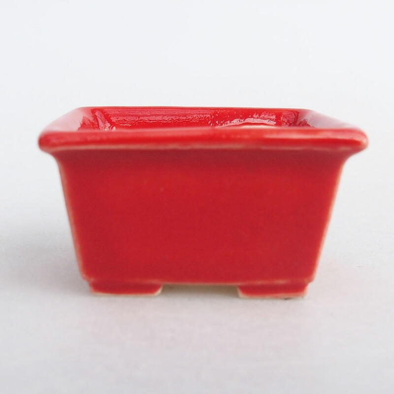 Mini-Bonsaischale 4 x 3 x 2 cm, Farbe rot