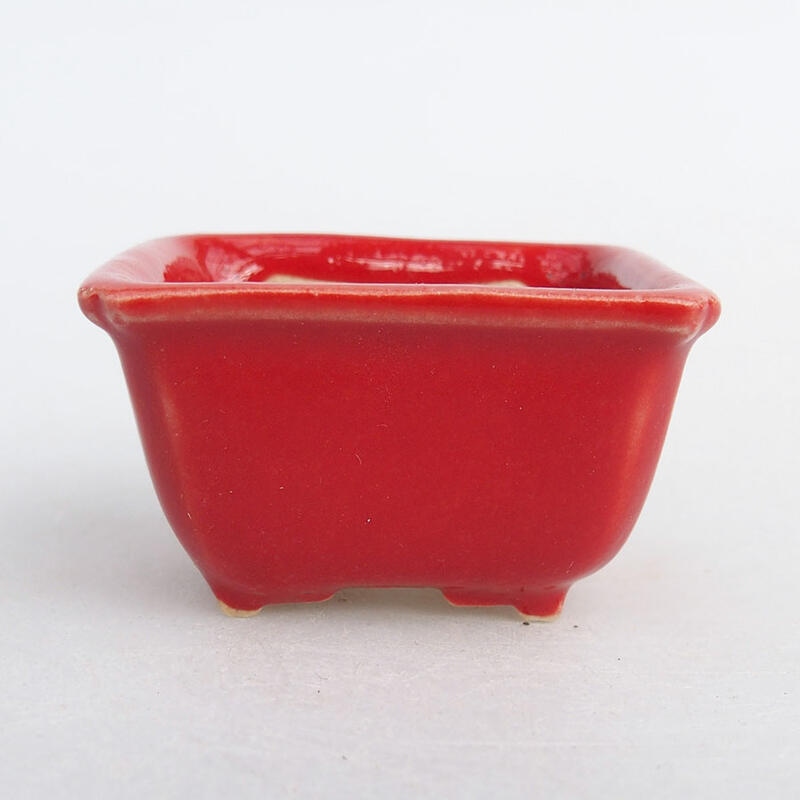 Mini-Bonsaischale 4 x 3 x 2 cm, Farbe rot