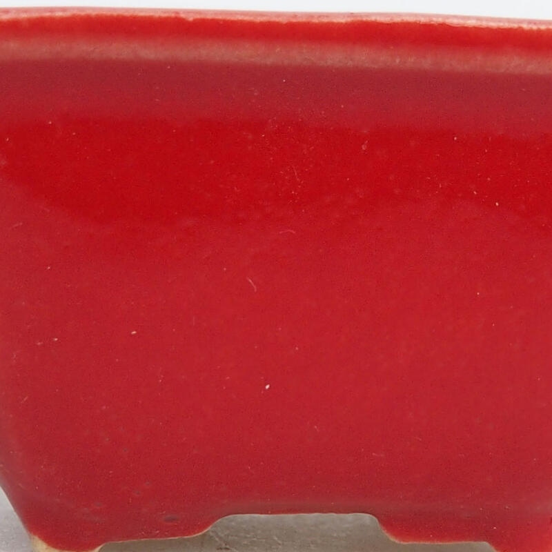 Mini-Bonsaischale 4 x 3 x 2 cm, Farbe rot