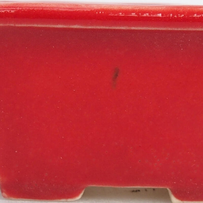 Mini-Bonsaischale 4 x 3 x 2 cm, Farbe rot