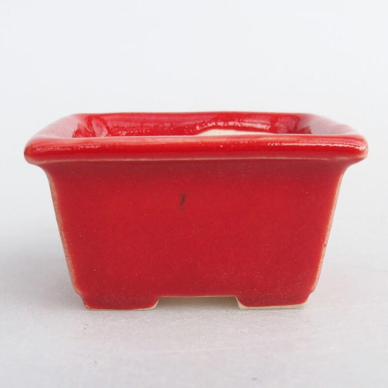 Mini-Bonsaischale 4 x 3 x 2 cm, Farbe rot