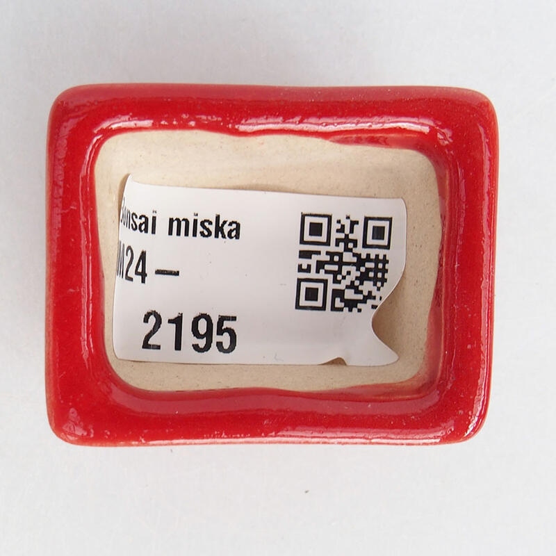 Mini-Bonsaischale 4 x 3 x 2 cm, Farbe rot