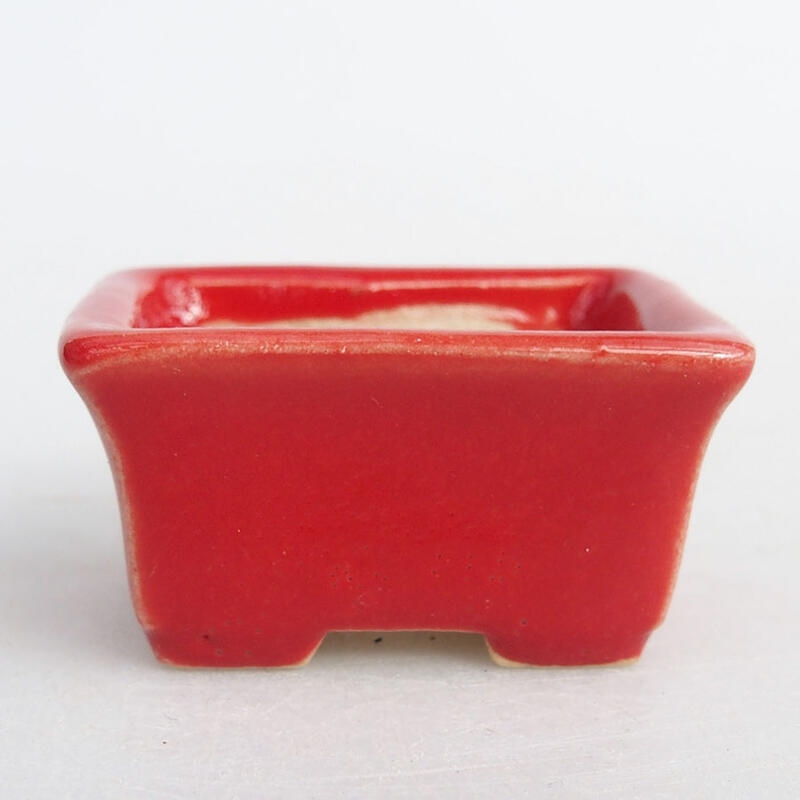 Mini-Bonsaischale 4 x 3 x 2 cm, Farbe rot