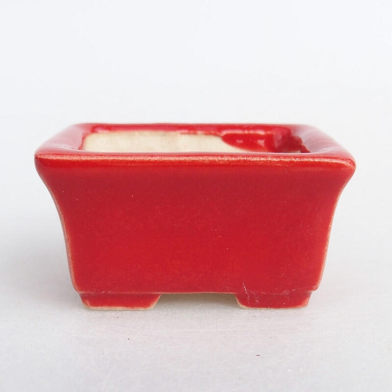 Mini-Bonsaischale 4 x 3 x 2 cm, Farbe rot