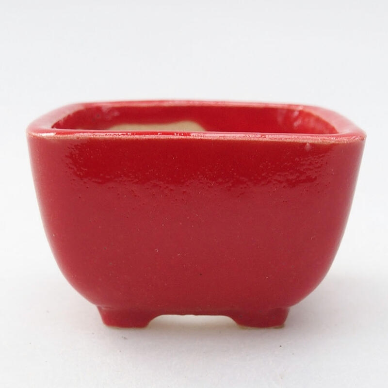 Mini-Bonsaischale 5 x 5 x 3 cm, Farbe rot