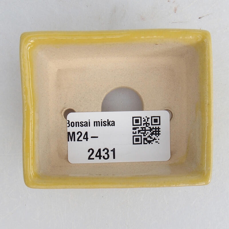 Mini-Bonsaischale 6,5 x 5,5 x 2,5 cm, Farbe gelb